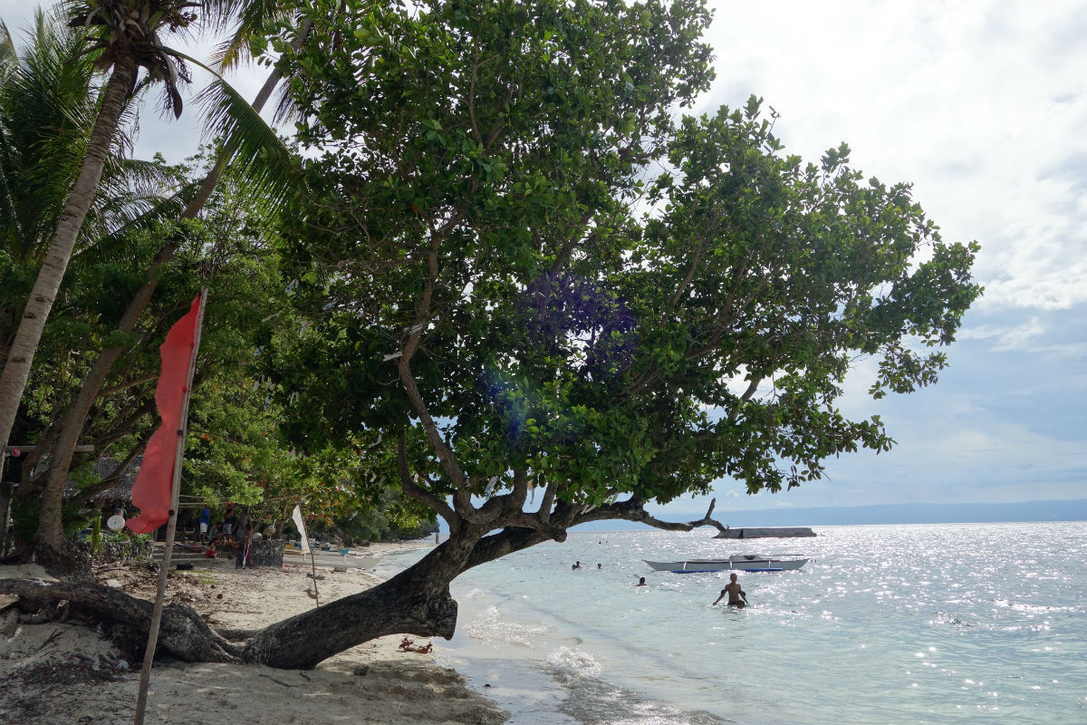 Swimmers @ Momo Beach, Panglao, Bohol